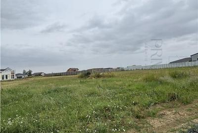Teren de 732 mp, în Moșnița Nouă - 2