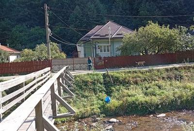 Casă cu 3 camere cu Teren 250 Mp în Vale