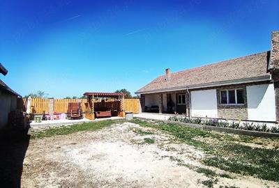 Casă cu Teren 1600 Mp în Central - 3