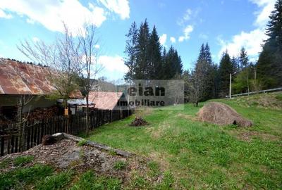 Teren Construcții intravilan de 1060 mp, în Predeal - 10