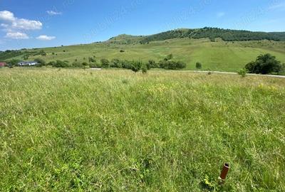 Teren de 1100 mp, în Sălicea - 4