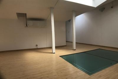 Casă cu 13 camere cu Teren 458 Mp în Armeneasca - 11
