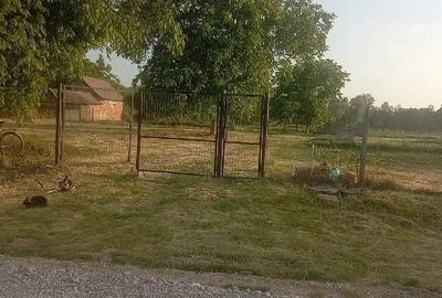 Teren de 6650 mp, în Ciocaia