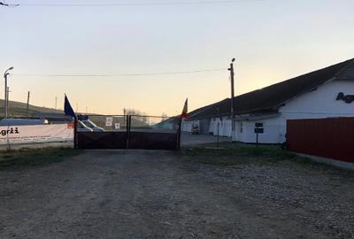 Proprietate specială, 8.626 mp în Sagna