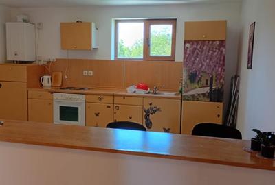 Apartament cu 2 camere semidecomandat în Rafov - 1