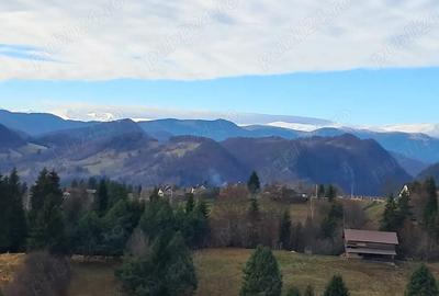 Teren de 1200 mp, în Podu Dâmboviței - 5