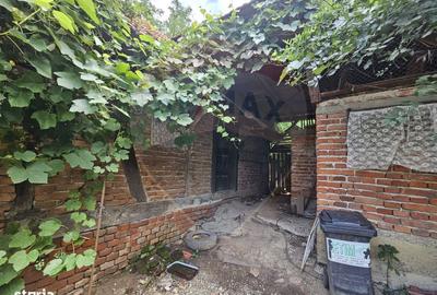 Casă cu 5 camere cu Teren 4484 Mp în Balinț - 10