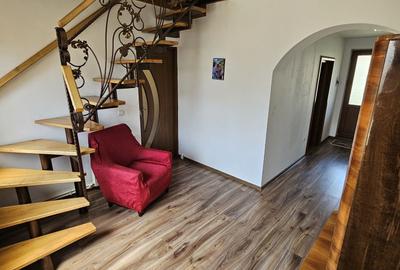 Casă cu 2 camere în Lapoș - 4