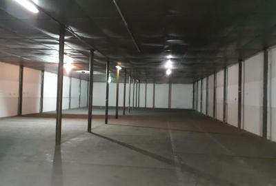 Spațiu industrial, de 725 mp, în Exterior Est - 10