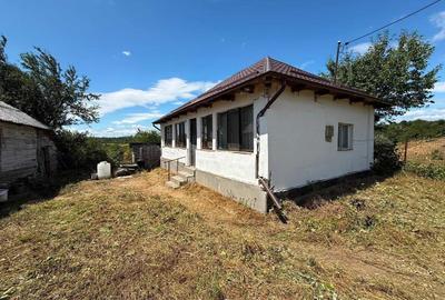 Casă cu 2 camere cu Teren 2900 Mp în Ludu