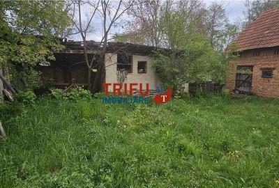 Casă cu 2 camere cu Teren 3101 Mp în Galda de Jos - 9
