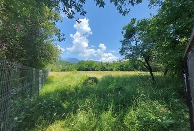 Teren Construcții intravilan de 3786 mp, în Jiblea Veche - 1