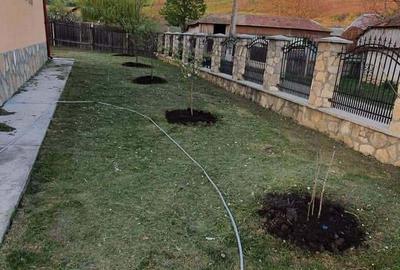 Casă cu 4 camere în Pârcovaci - 5