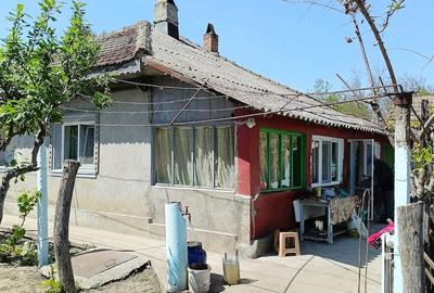 Casă cu 4 camere cu Teren 1350 Mp în Gheorghe Lazăr - 7