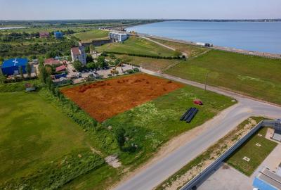 Teren Construcții intravilan de 2500 mp, în Cornetu - 5