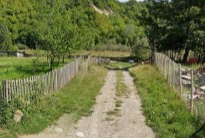 Teren extravilan de 2700 mp, în Podu Cheii - 5