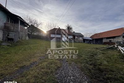 Casă cu 4 camere cu Teren 2231 Mp în Cerbăl - 9