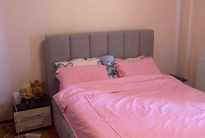 Apartament cu 2 camere decomandat în Dosu Bricii - 3