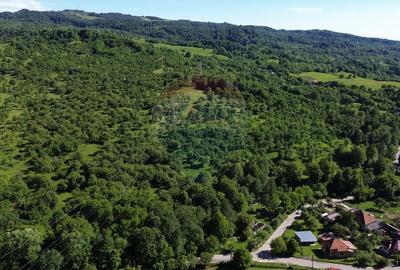 Teren agricol extravilan de 14489 mp, în Exterior Est - 11