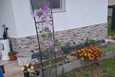 Casă cu 3 camere în Sânmihaiu de Câmpie - 3