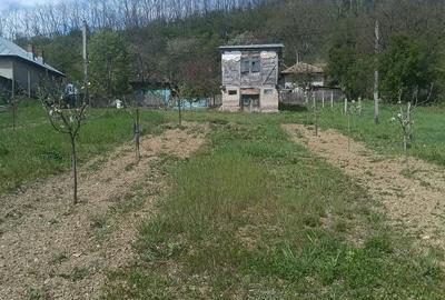 Casă cu 2 camere cu Teren 2500 Mp în Bogați - 5