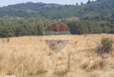 Teren de 6300 mp, în Central