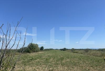 Teren de 62000 mp, în Cionchești