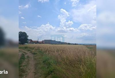 Teren de 6250 mp, în Șimian - 5