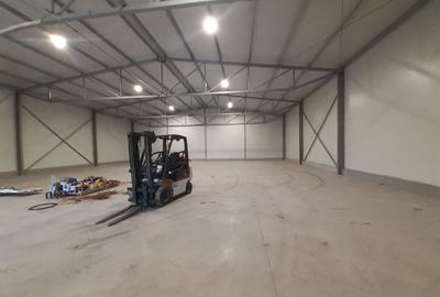 Spațiu industrial, de 594 mp, în 23 August (Cațelul) - 2