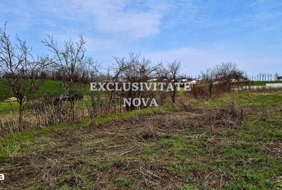 Teren de 5000 mp, în Găneasa - 1