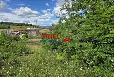 Teren de 1716 mp, în Cetate - 2