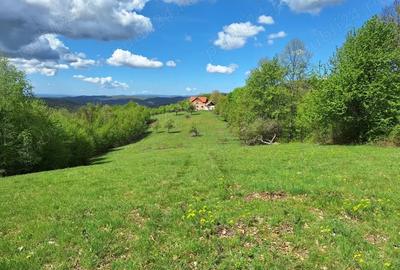 Teren de 46000 mp, în Slatina de Mureș - 4