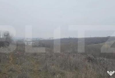 Teren de 10000 mp, în Central - 2