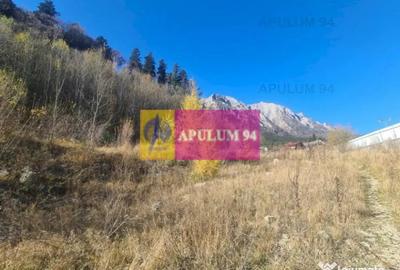 Teren de 14969 mp, în Bușteni - 3