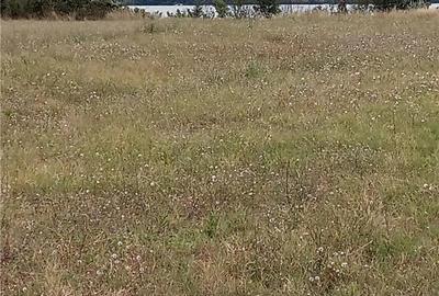 Teren de 2200 mp, în Moldova Veche - 3