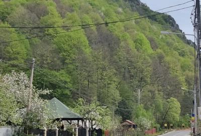 Teren de 1700 mp, în Lepșa - 3