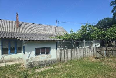 Casă cu 5 camere cu Teren 3900 Mp în Dăeni