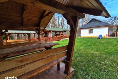 Casă cu 9 camere cu Teren 3500 Mp în Ocna Șugatag - 2