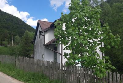 Spațiu comercial, în Dâmbovicioara - 12
