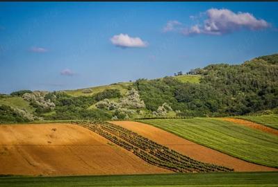 Teren de 3000 mp, în Vadu Lat