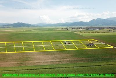 Teren Construcții intravilan de 541 mp, în Tărlungeni - 4