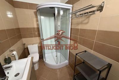 Apartament cu 2 camere decomandat, mobilat în Terezian - 7