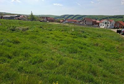 Spațiu comercial, în Betfia - 3