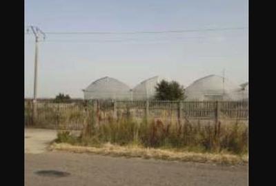 Spațiu industrial, de 7,300 mp, în Uivar - 2