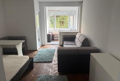 Garsonieră semidecomandată în Brazda lui Novac - 2