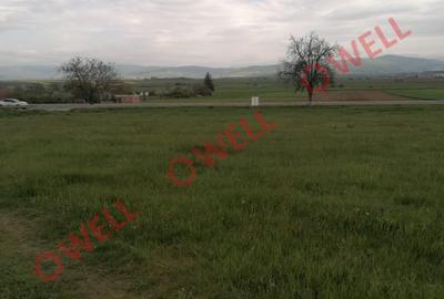 Teren agricol intravilan de 25000 mp, în Moacșa - 4