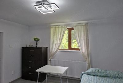 Casă cu Teren 1405 Mp în Urleta - 1