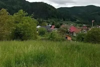 Teren de 1400 mp, în Central - 5