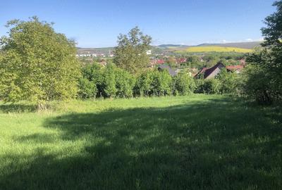 Teren de 3200 mp, în Central - 2
