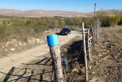 Teren de 7000 mp, în Dorobanțu - 2